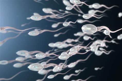 sperm ne kadar süre canlı kalır